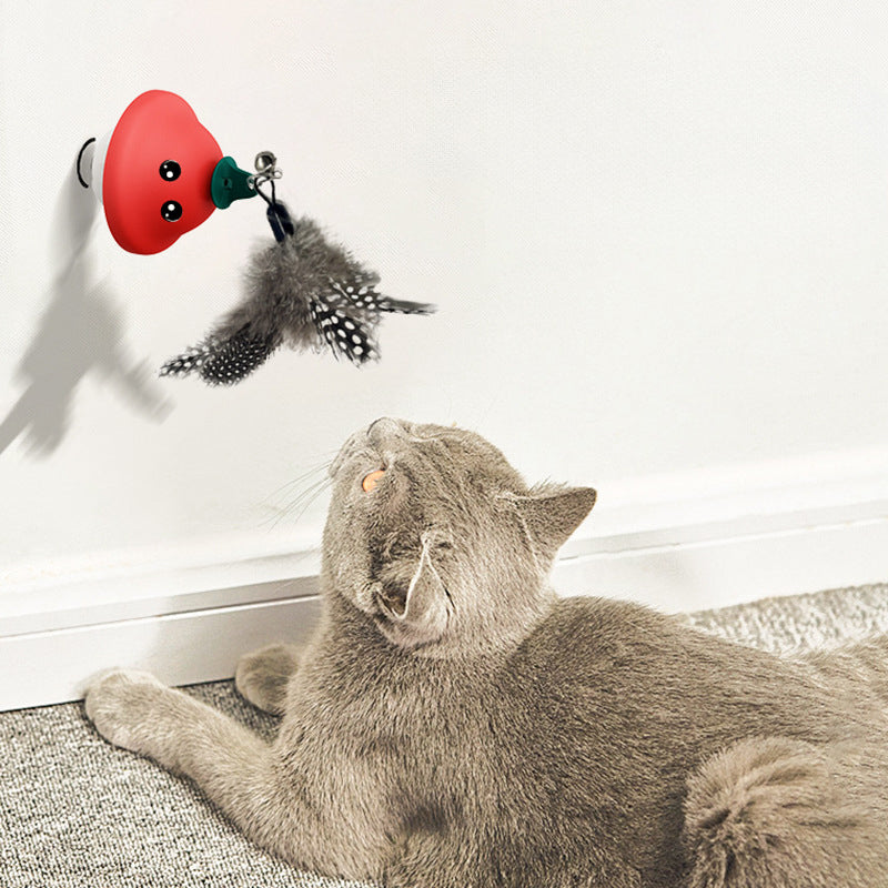 Unleash Your Cat's Playful Spirit with the Pet Movement Playing Toy Cat Wand
